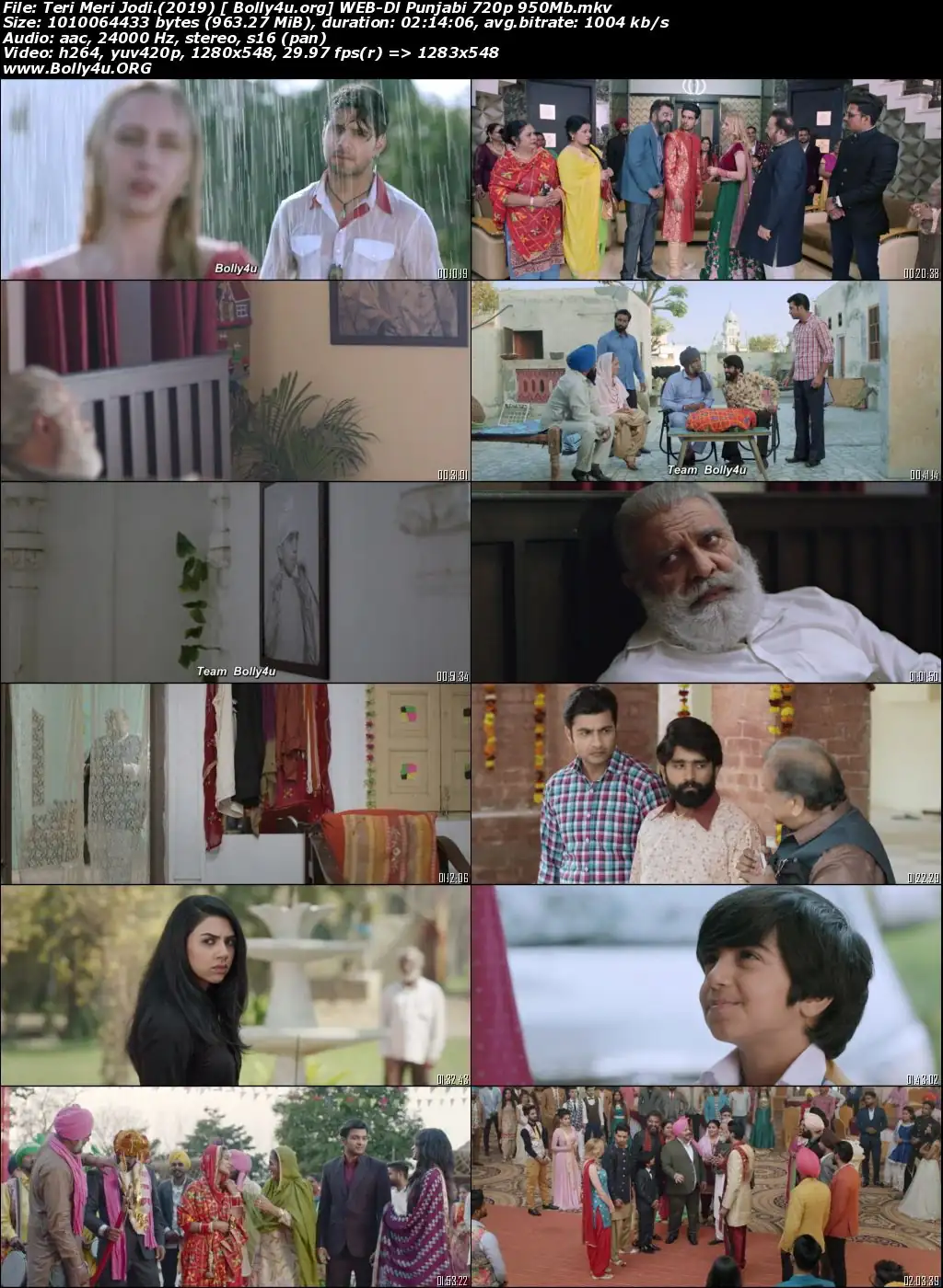 Teri Meri Jodi 2019 WEB-DL 350Mb Punjabi Movie Download 480p