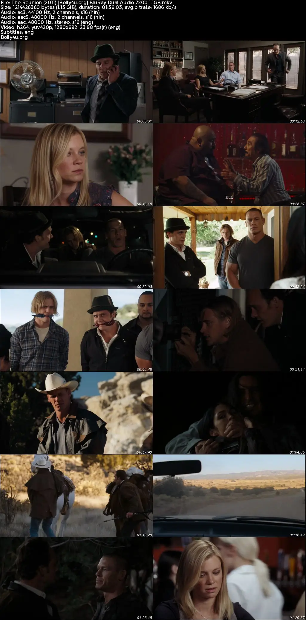 The Reunion 2011 BluRay Hindi Dual Audio Full Movie Download 720p  480p