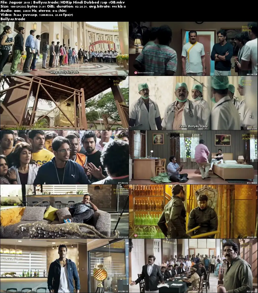 Jaguar 2018 HDRip 400Mb Hindi Dubbed 480p Download