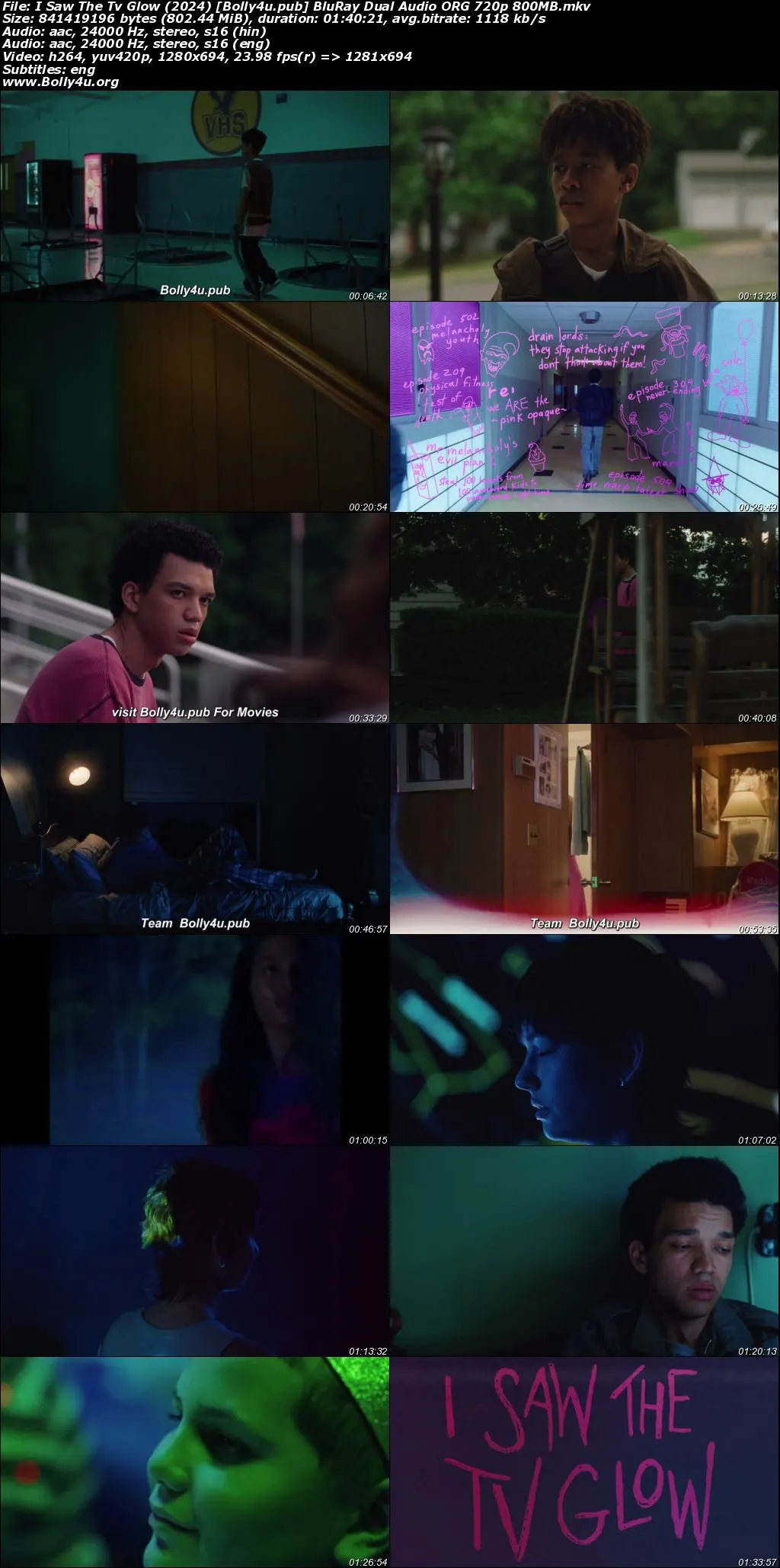 I Saw The Tv Glow 2024 BluRay Hindi Dual Audio ORG Full Movie Download 1080p  720p  480p