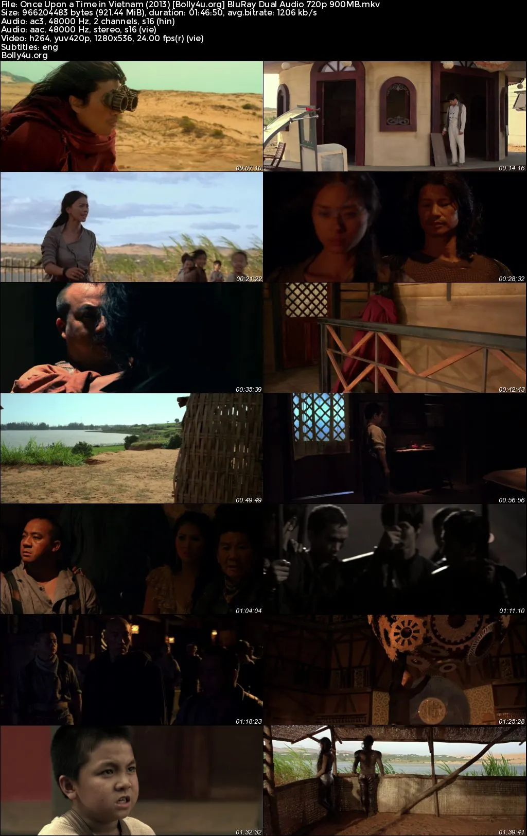 Once Upon a Time in Vietnam 2013 BluRay Hindi Dual Audio Full Movie Download 720p  480p