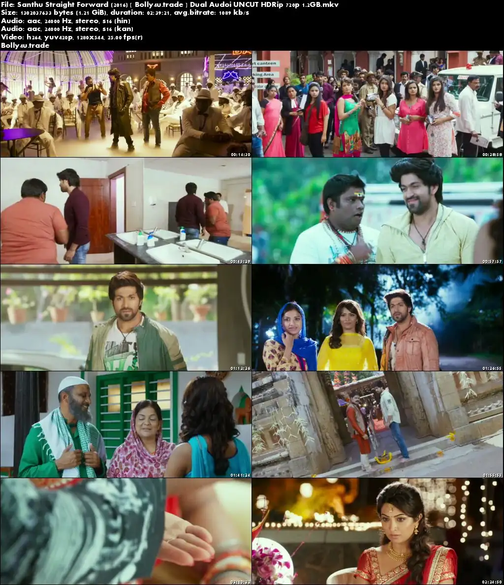Santhu Straight Forward 2016 HDRip 500MB UNCUT Hindi Dual Audio 480p Download