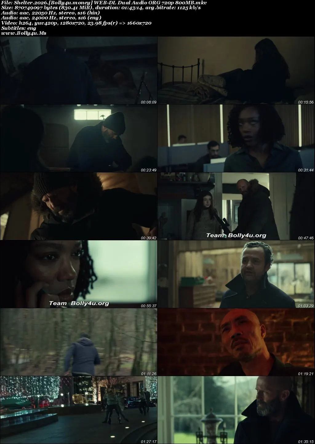 Shelter 2026 WEB-DL Hindi Dual Audio ORG Full Movie Download 1080p  720p  480p
