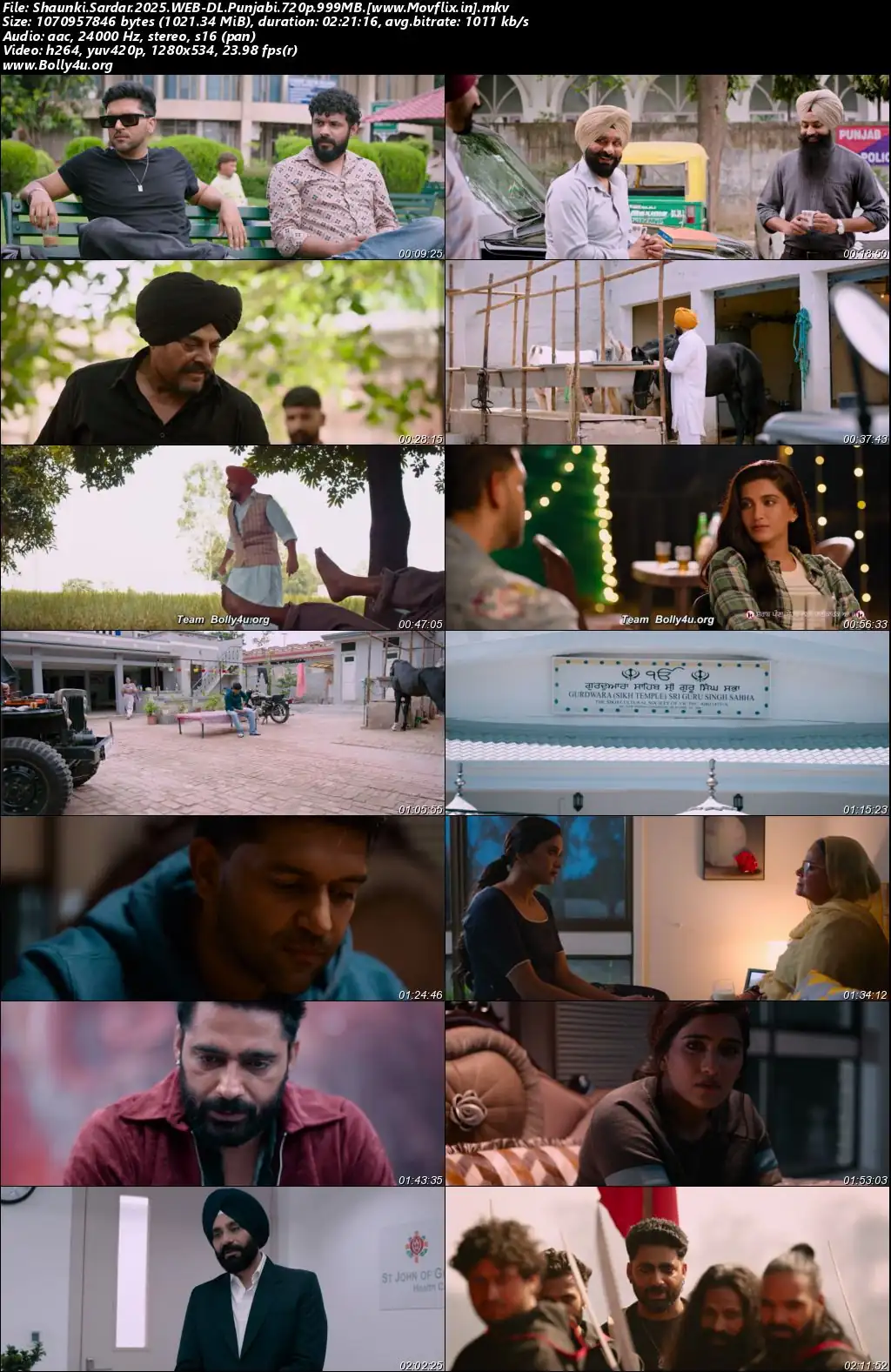 Shaunki Sardar 2025 WEB-DL Punjabi Full Movie Download 1080p  720p  480p