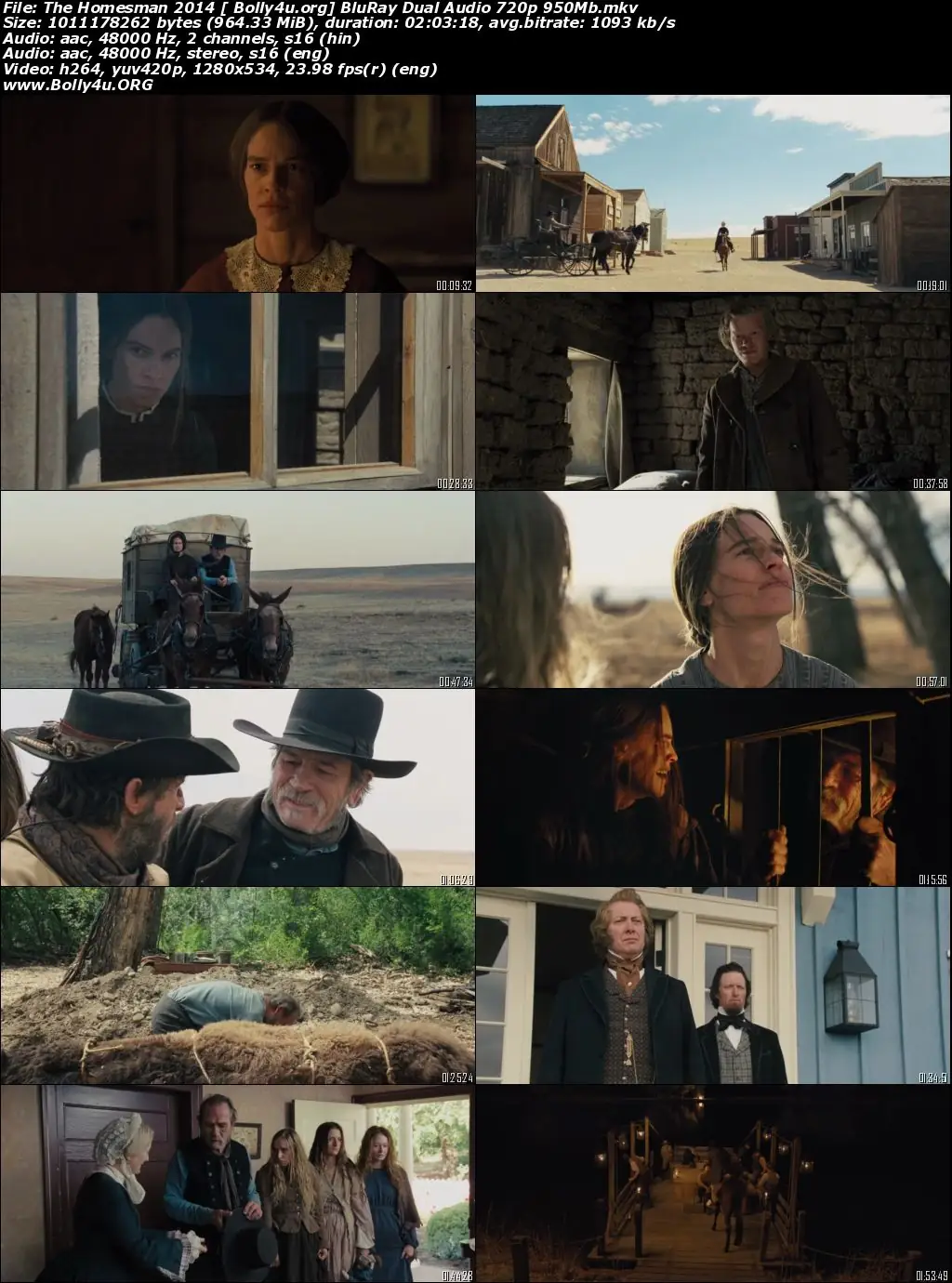 The Homesman 2014 BluRay 900Mb Hindi Dual Audio 720p Download