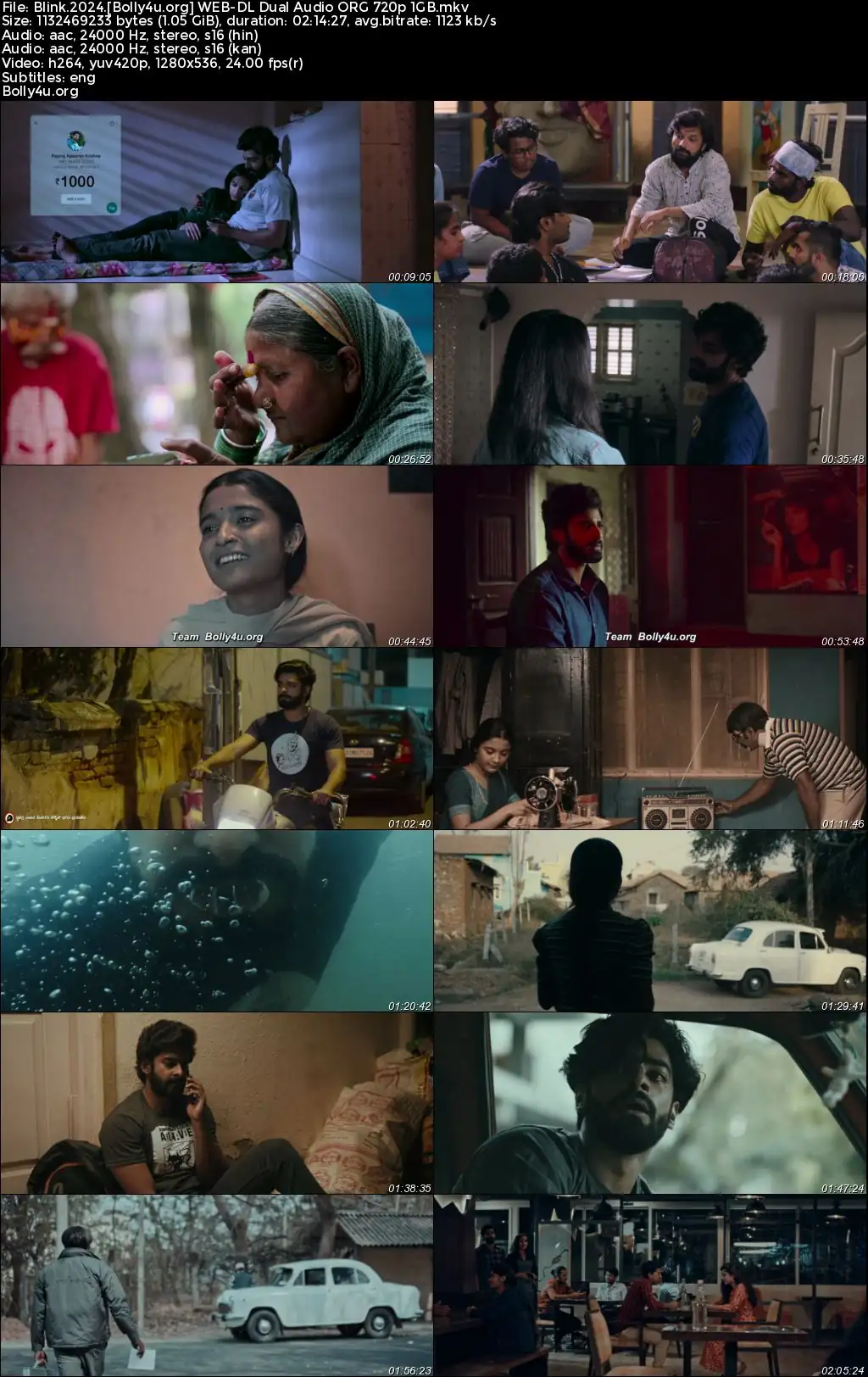 Blink 2024 WEB-DL UNCUT Hindi Dual Audio ORG Full Movie Download 1080p  720p  480p