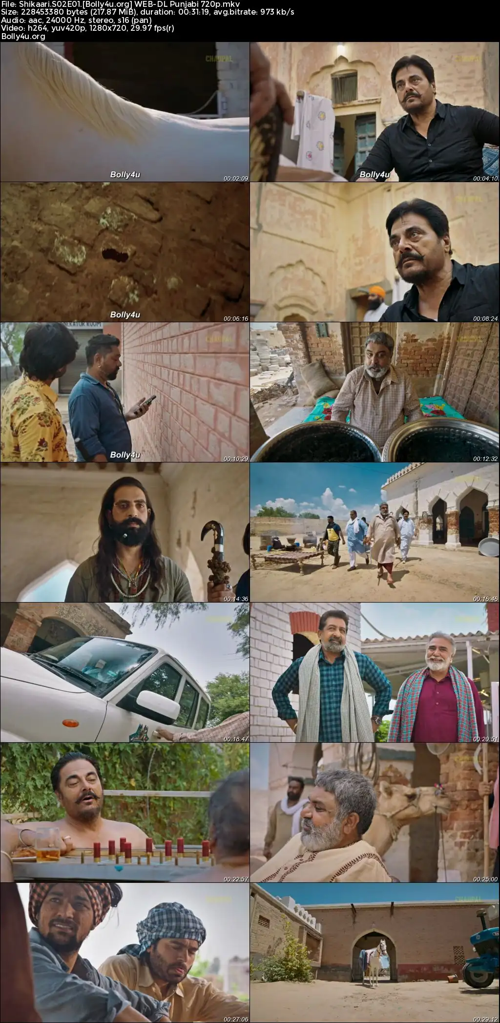Shikaari 2023 WEB-DL Punjabi S02 Complete Download 720p  480p