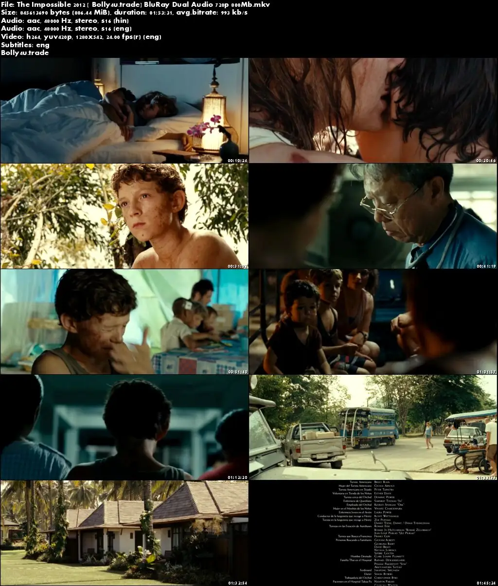 The Impossible 2012 BluRay 800MB Hindi Dual Audio 720p ESub Download