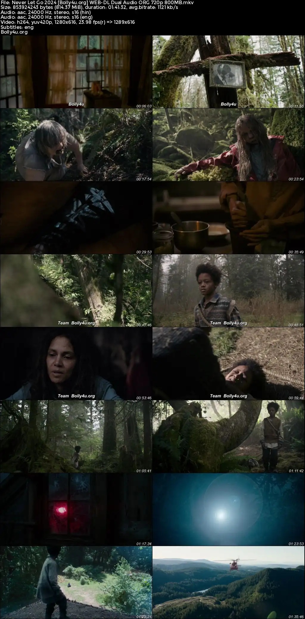 Never Let Go 2024 WEB-DL Hindi Dual Audio ORG Full Movie Download 1080p  720p  480p