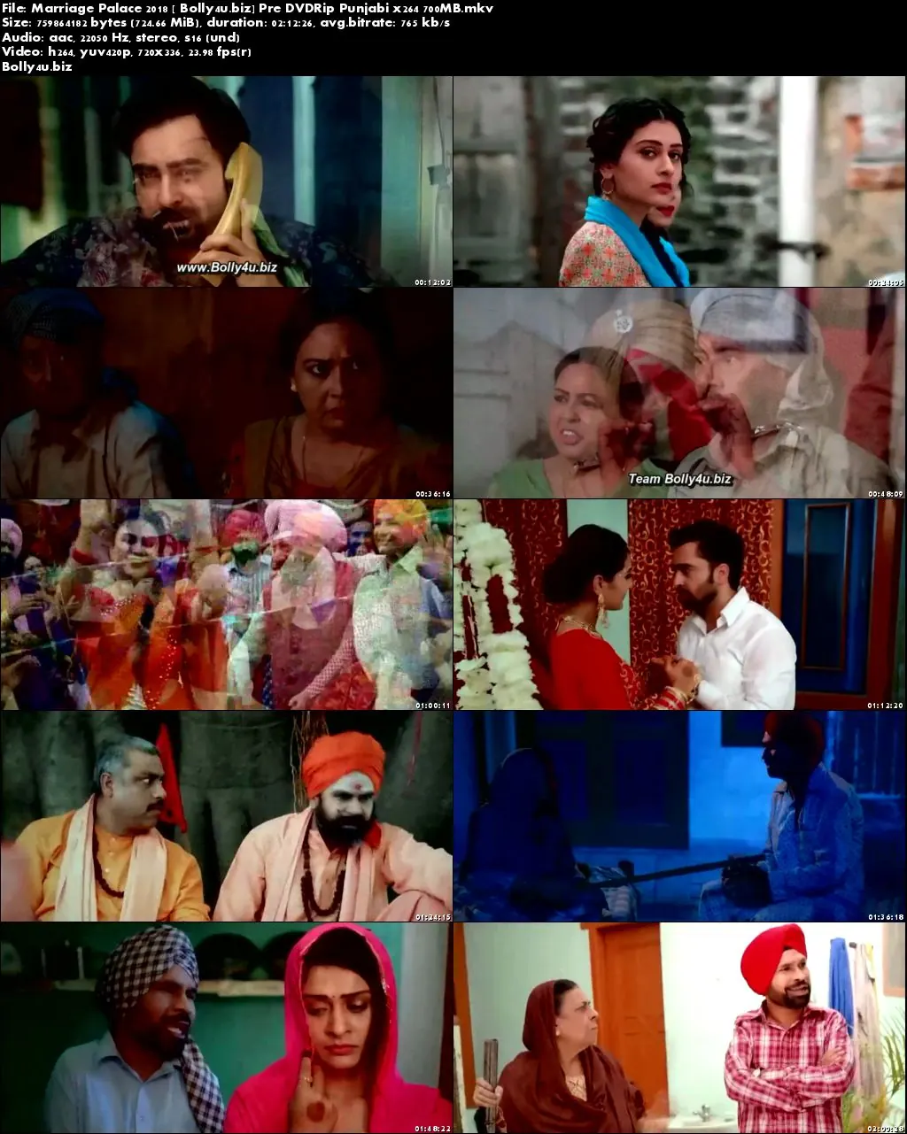 Marriage Palace 2018 Pre DVDRip 300Mb Punjabi 480p Download