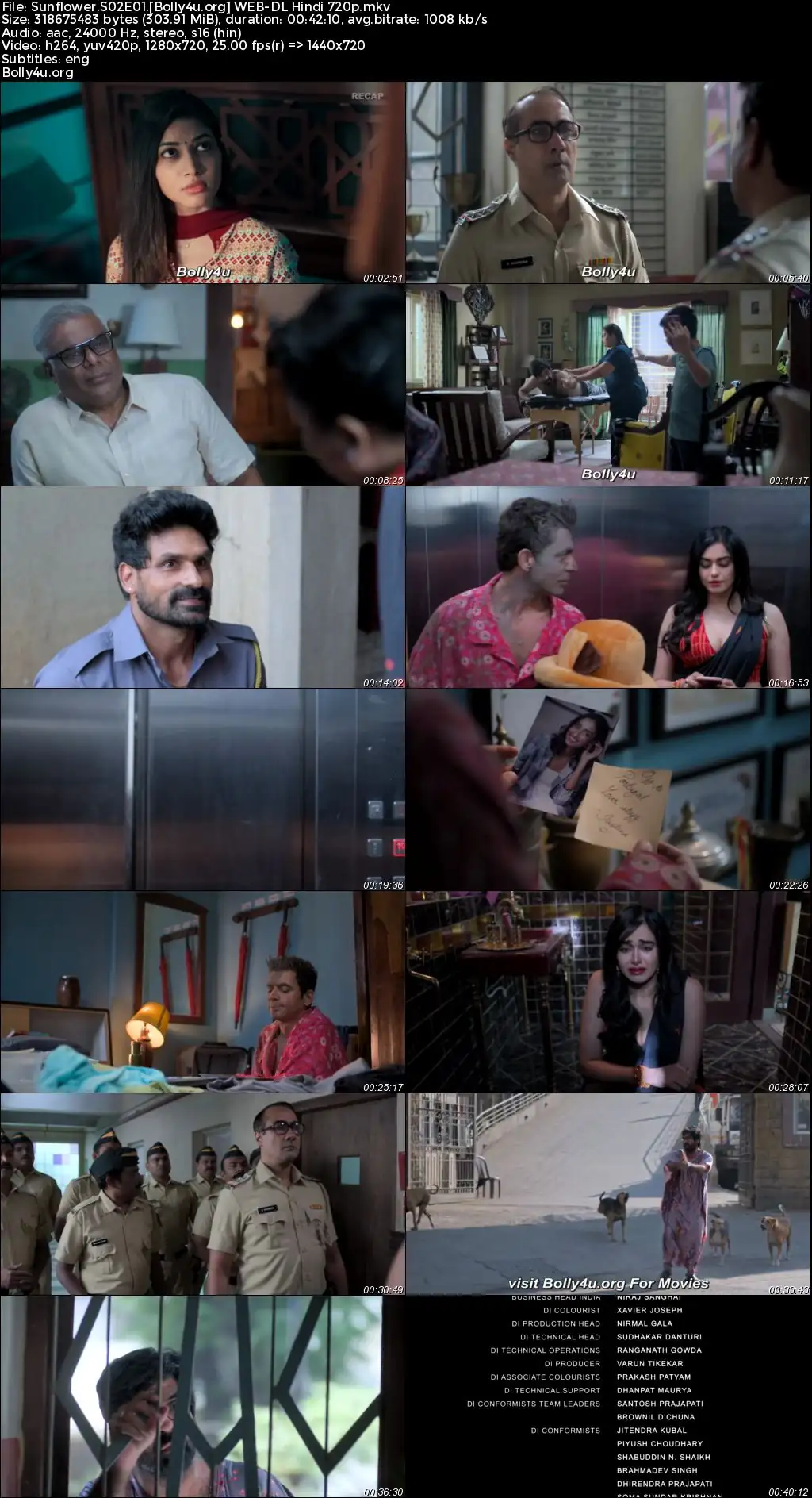 Sunflower 2024 WEB-DL Hindi S02 Complete Download 720p  480p