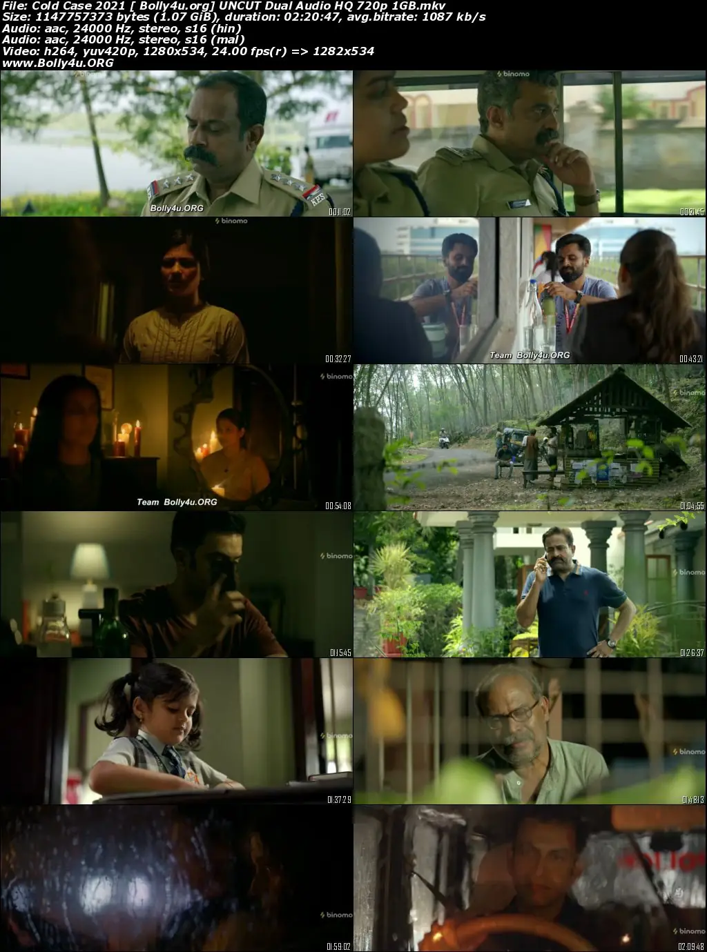 Cold Case 2021 WEB-DL 450Mb HQ Hindi Dub Dual Audio 480p Download