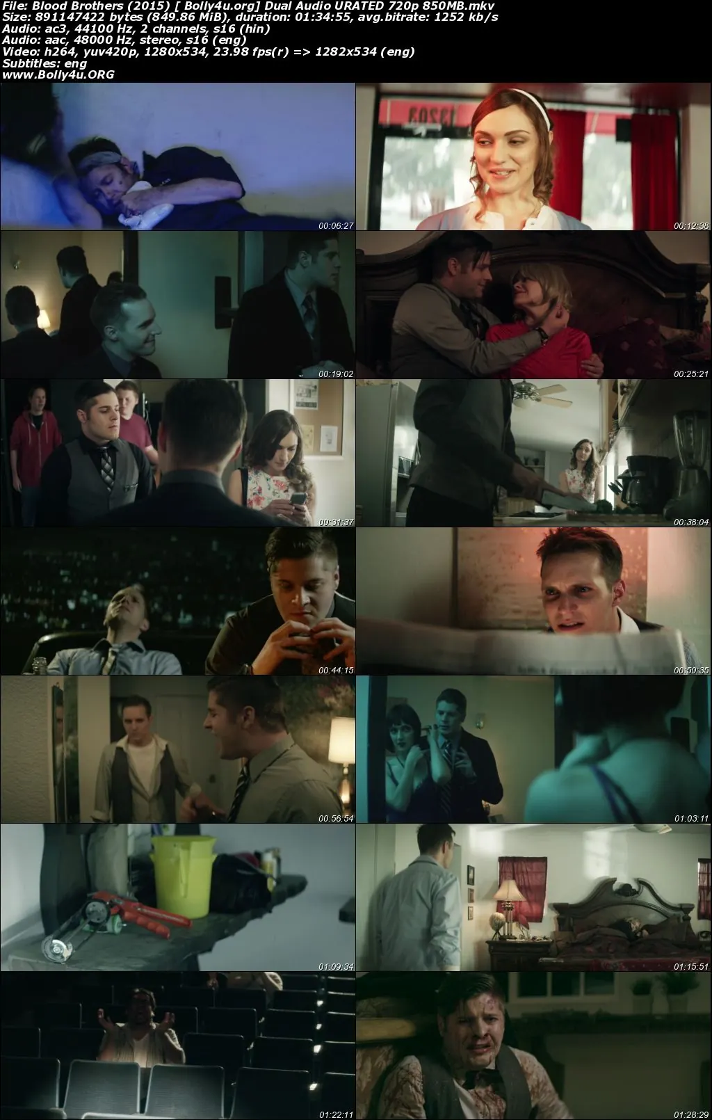 Blood Brothers 2015 BluRay 350Mb UNRATED Hindi Dual Audio 480p Download