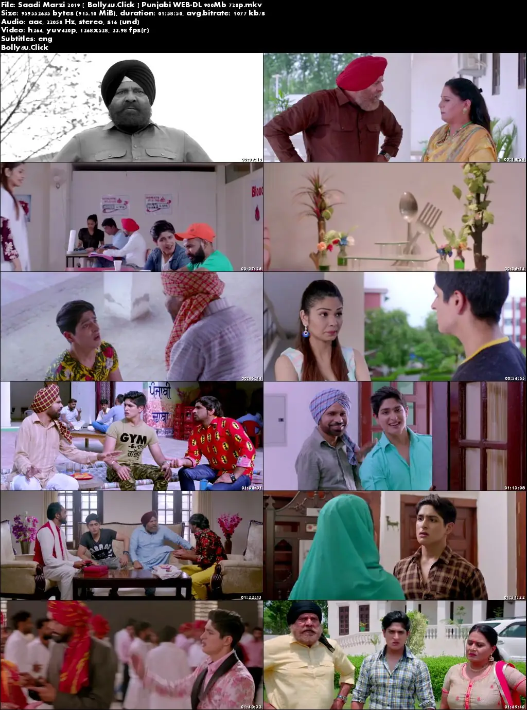 Saadi Marzi 2019 WEB-DL 300MB Punjabi 480p Download