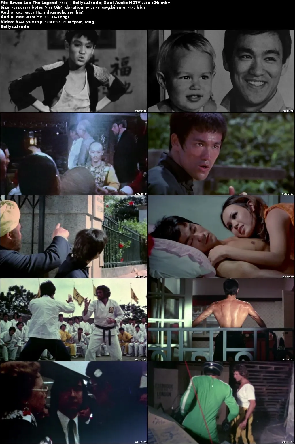 Bruce Lee The Legend 1984 HDTV 1Gb Hindi Dubbed Dual Audio 720p Download
