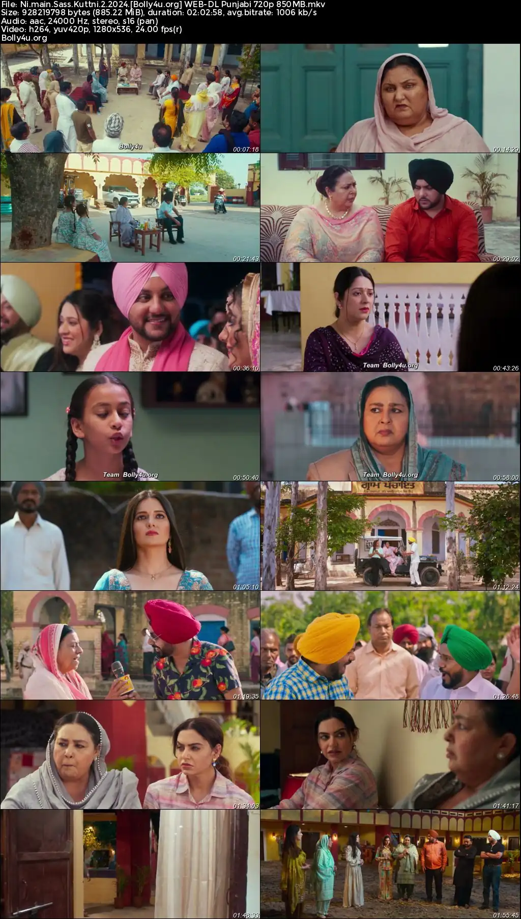 Ni Main Sass Kuttni 2 2024 WEB-DL Punjabi Full Movie Download 1080p  720p  480p