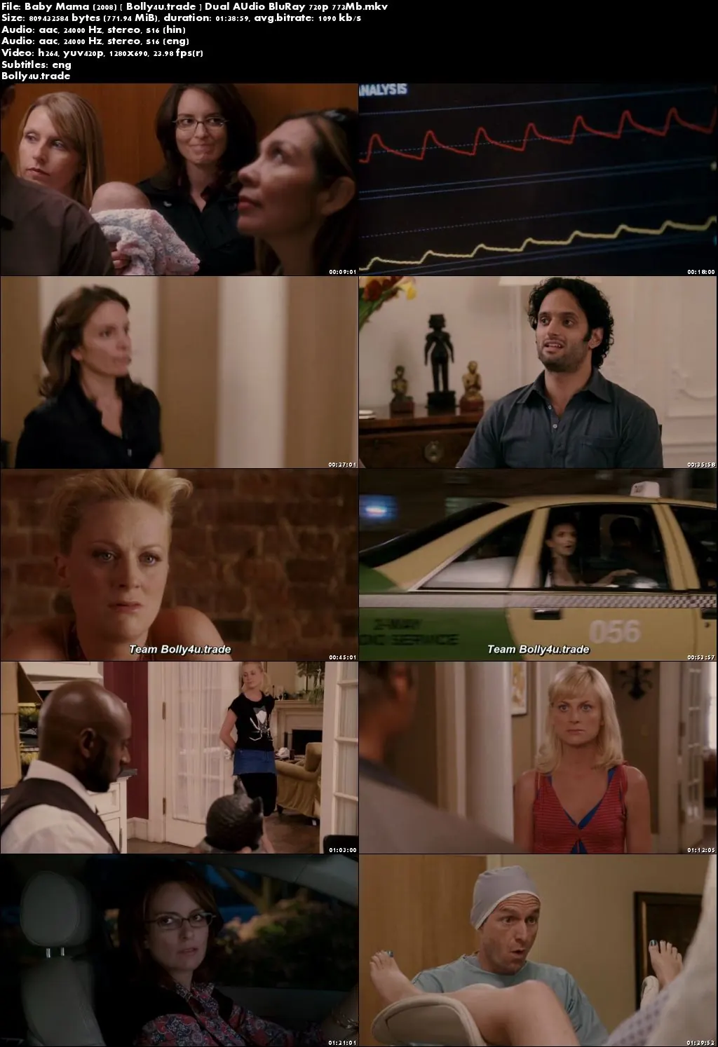 Baby Mama 2008 BluRay 300MB Hindi Dual Audio 480p ESub Download