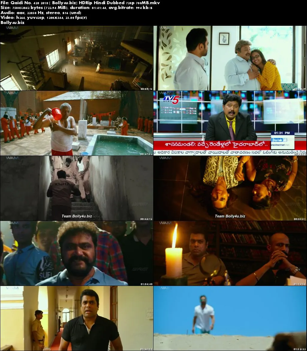 Qaidi No 420 2018 HDRip 300Mb Full Hindi Dubbed Movie Download 480p