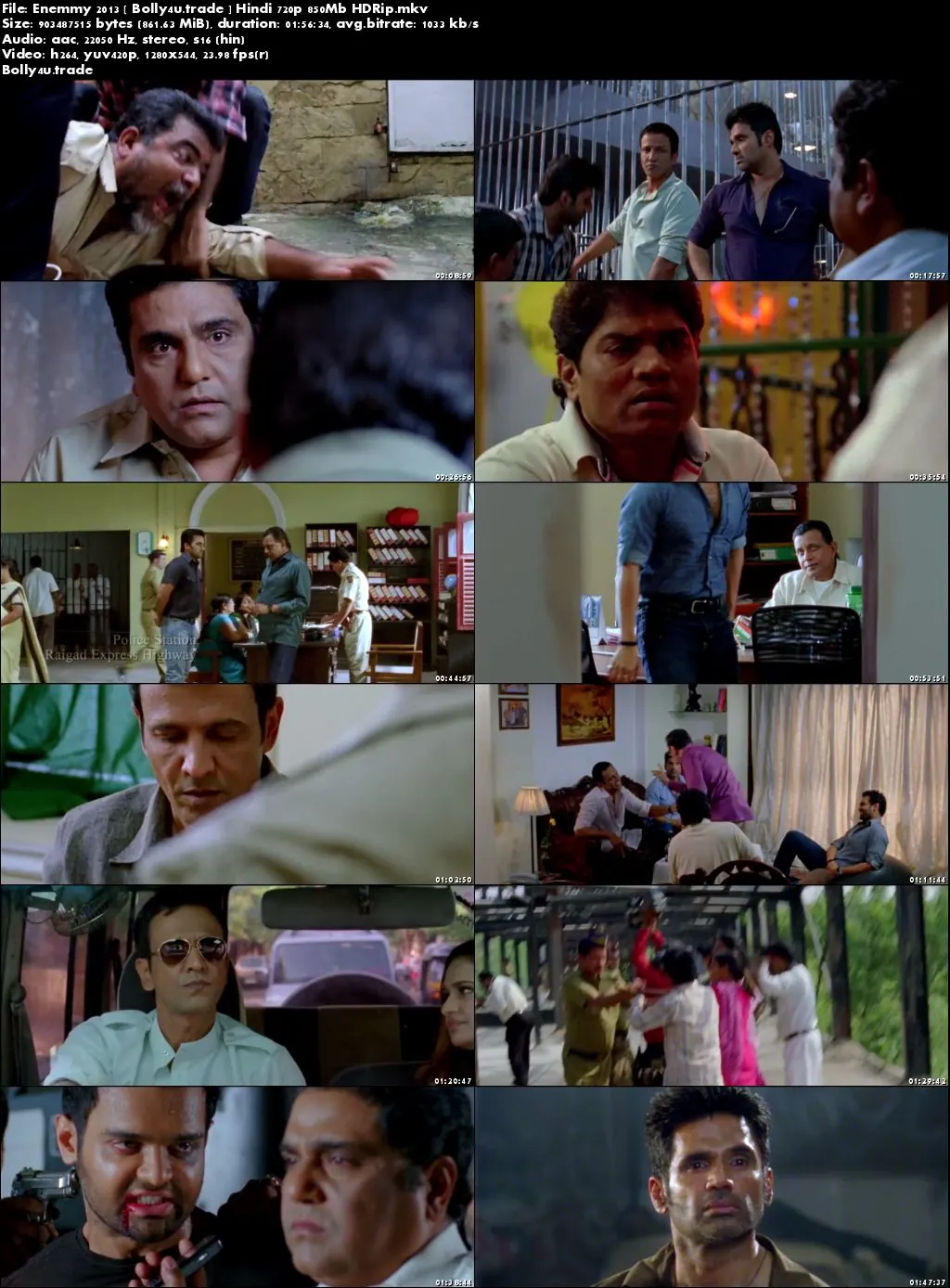 Enemmy 2013 HDRip 350Mb Full Hindi Movie Download 480p