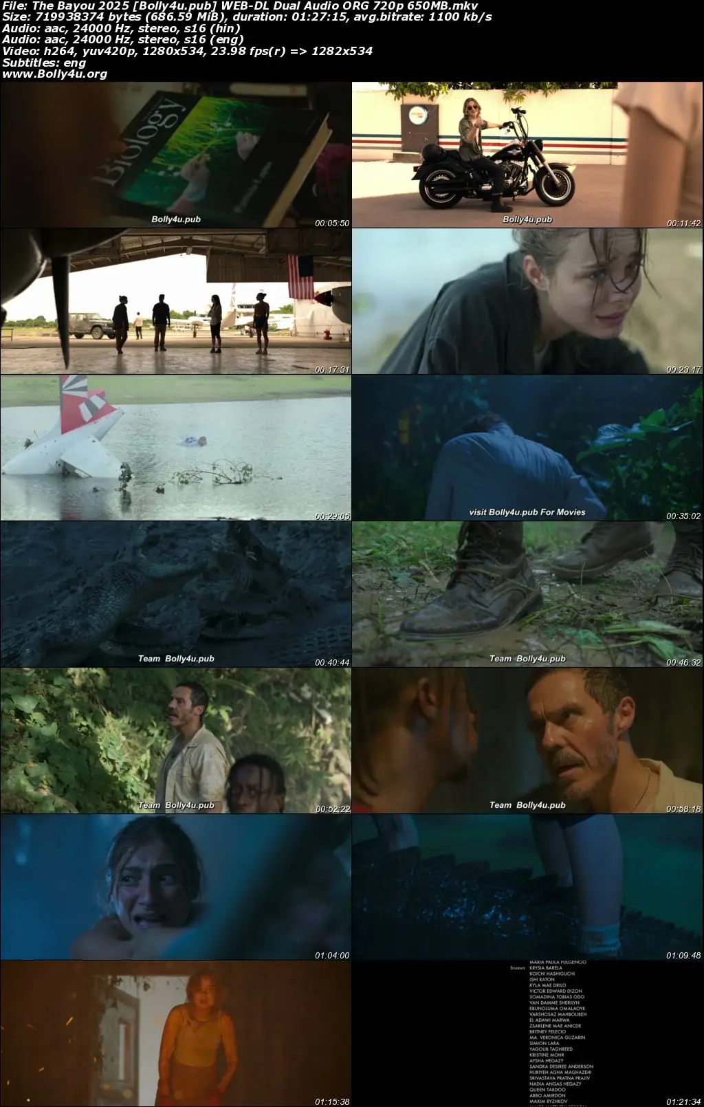The Bayou 2025 WEB-DL Hindi Dual Audio ORG Full Movie Download 1080p  720p  480p