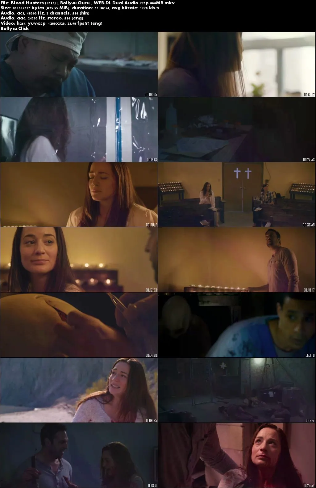 Blood Hunters 2016 WEB-DL 300MB Hindi Dual Audio 480p Download