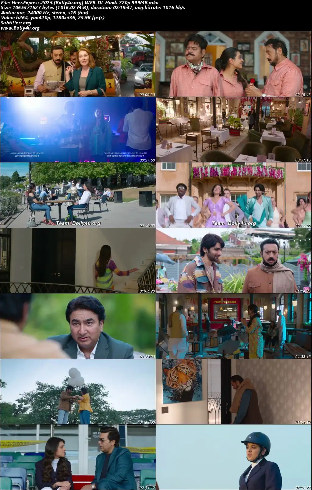 Heer Express 2025 WEB-DL Hindi Full Movie Download 1080p  720p  480p