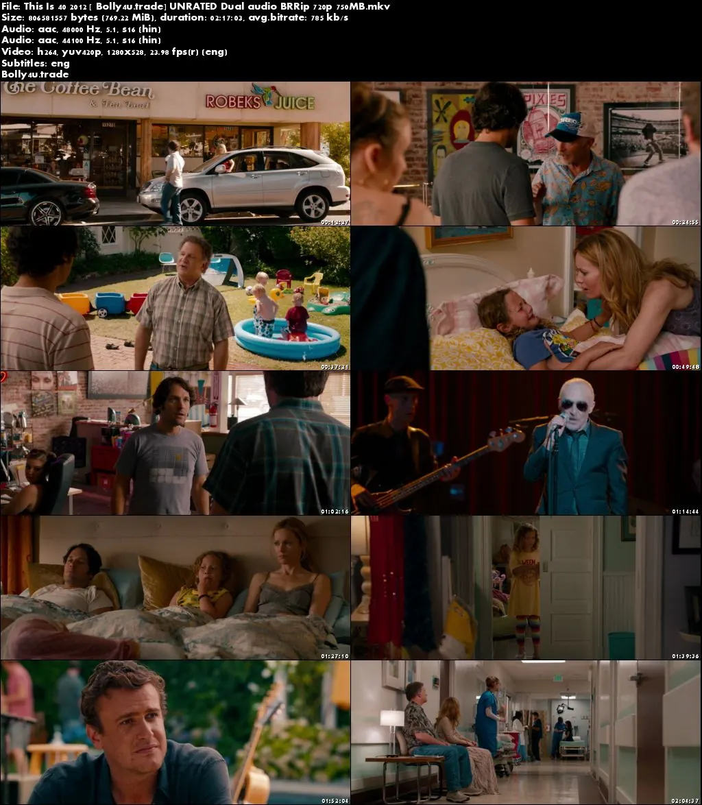 This Is 40 2012 BluRay 400MB UNRATED Hindi Dual Audio 480p Download