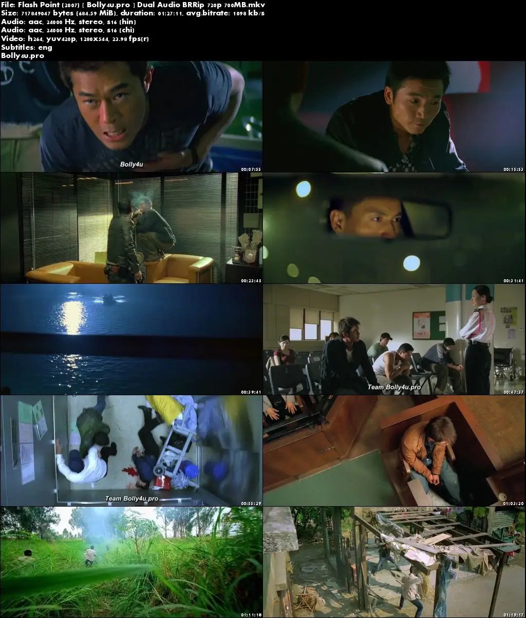 Flash Point 2007 BRRip 300Mb Hindi Dual Audio 480p Download