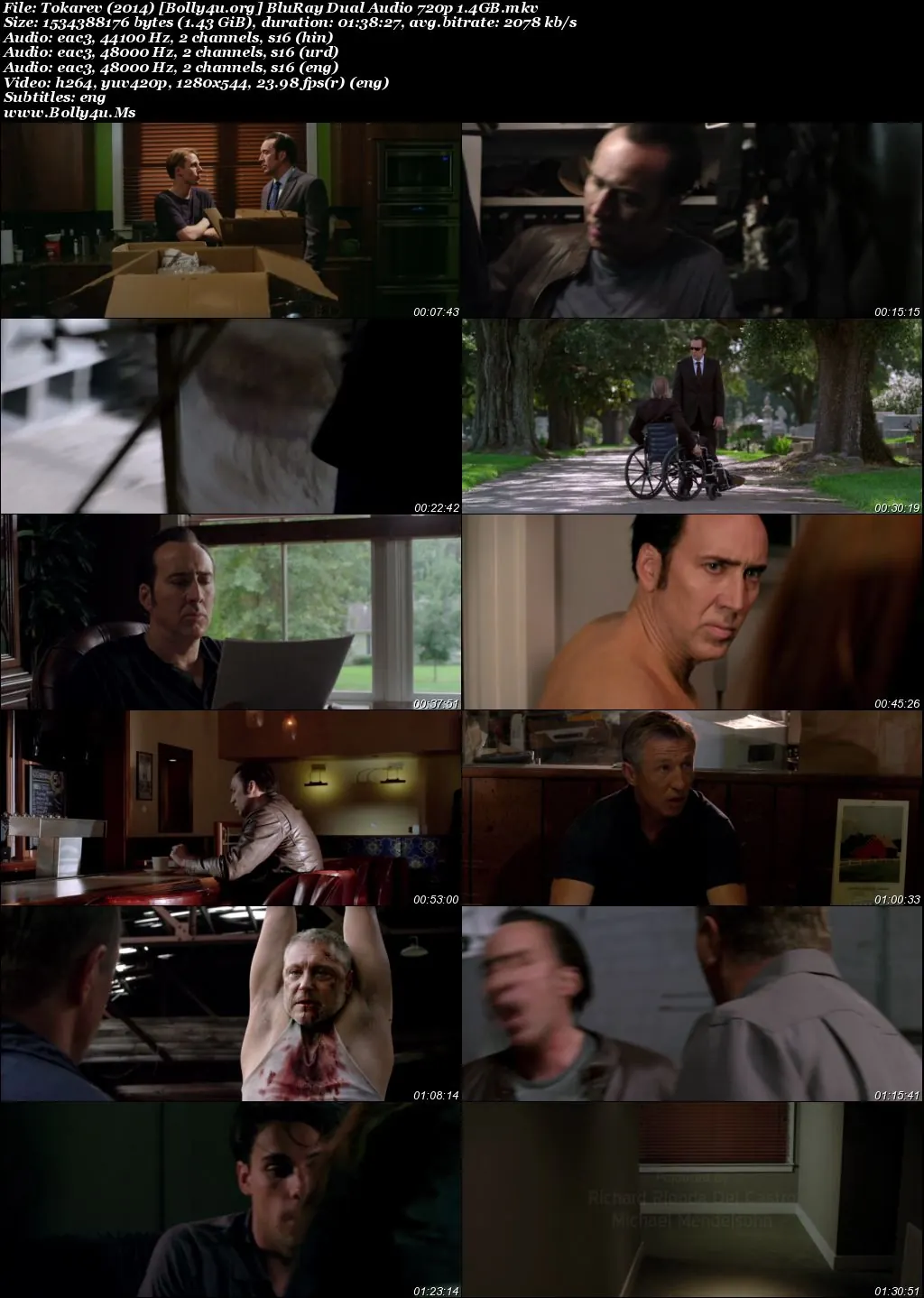 Tokarev 2014 BluRay Hindi Dual Audio Full Movie Download 720p  480p