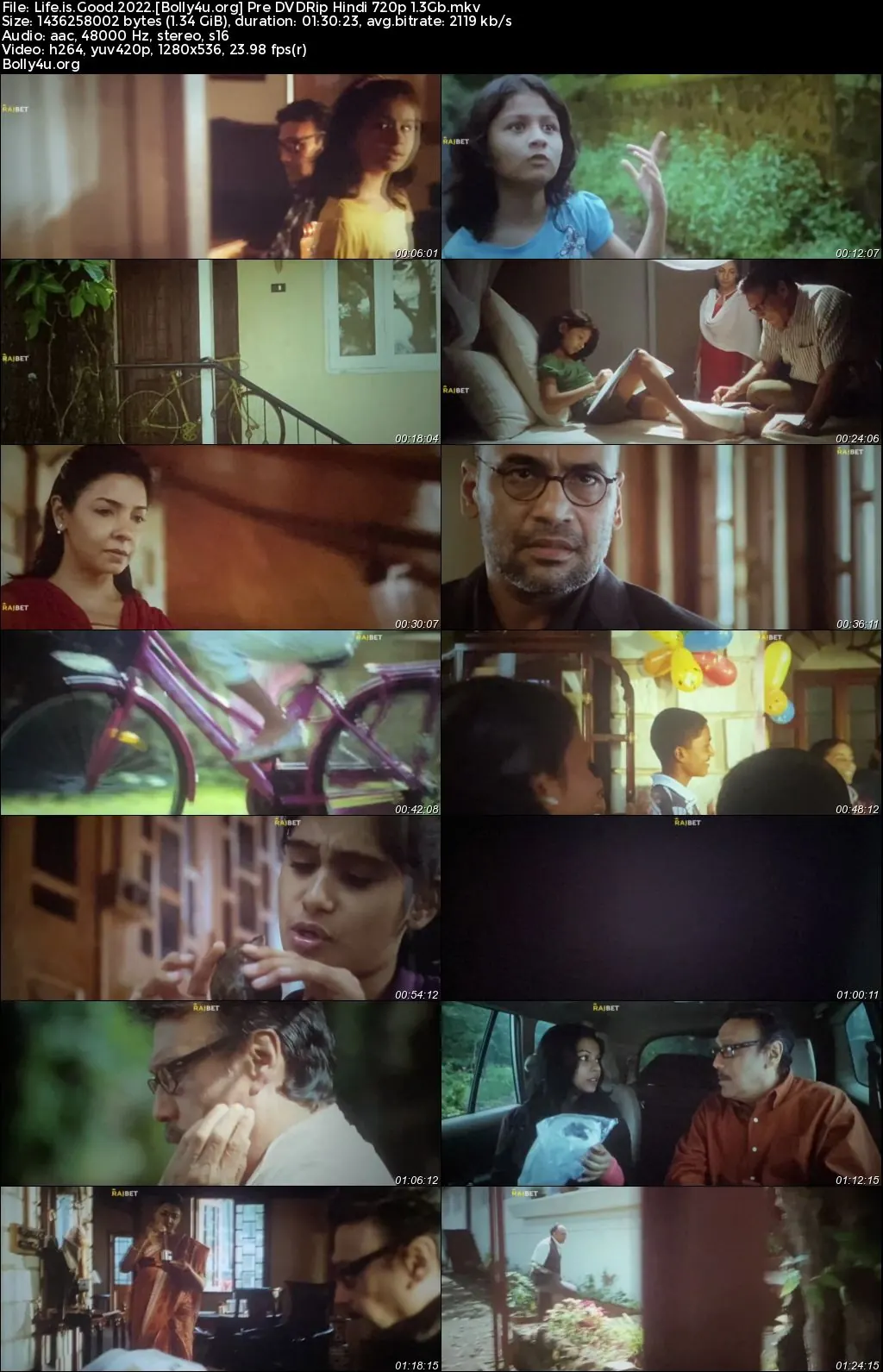Life is Good 2022 Pre DVDRip Hindi Full Movie Download 720p  480p
