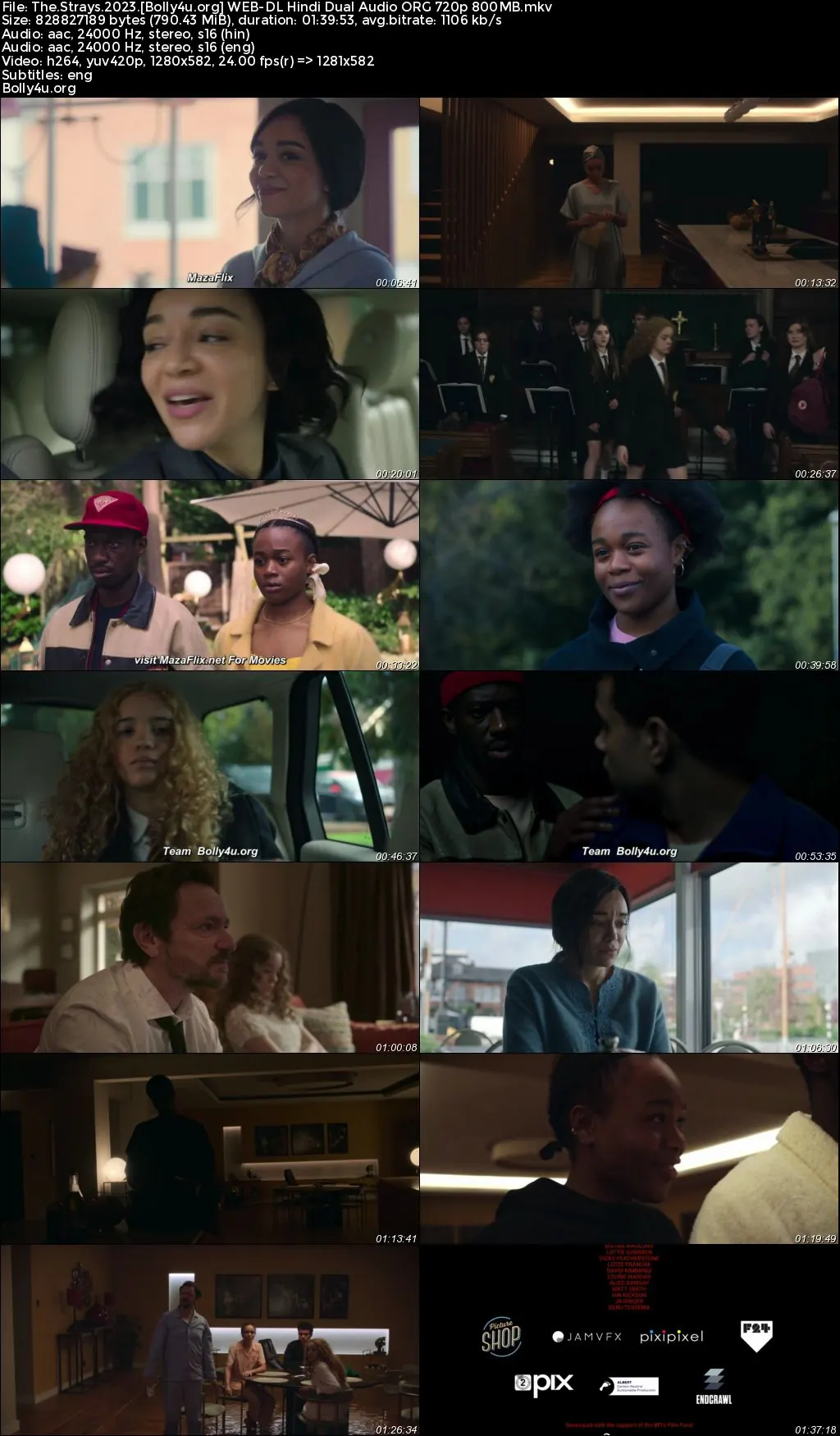 The Strays 2023 WEB-DL Hindi Dual Audio ORG Full Movie Download 1080p  720p  480p