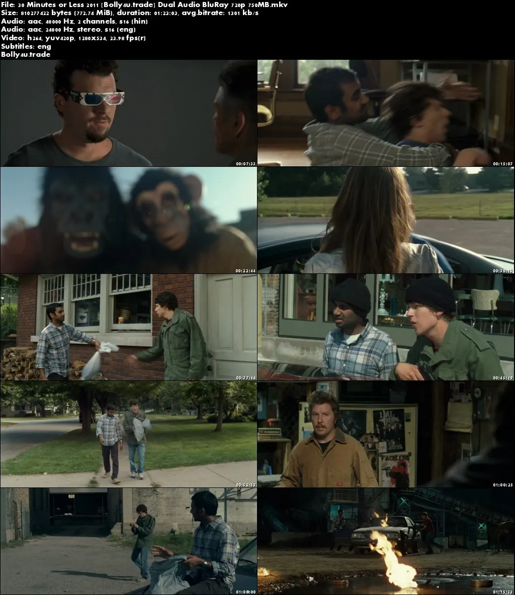 30 Minutes or Less 2011 BluRay 300Mb Hindi Dual Audio 480p ESub Download