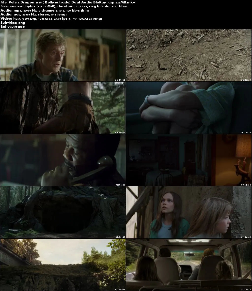 Petes Dragon 2016 BluRay 800MB Hindi Dual Audio 720p ESub Download