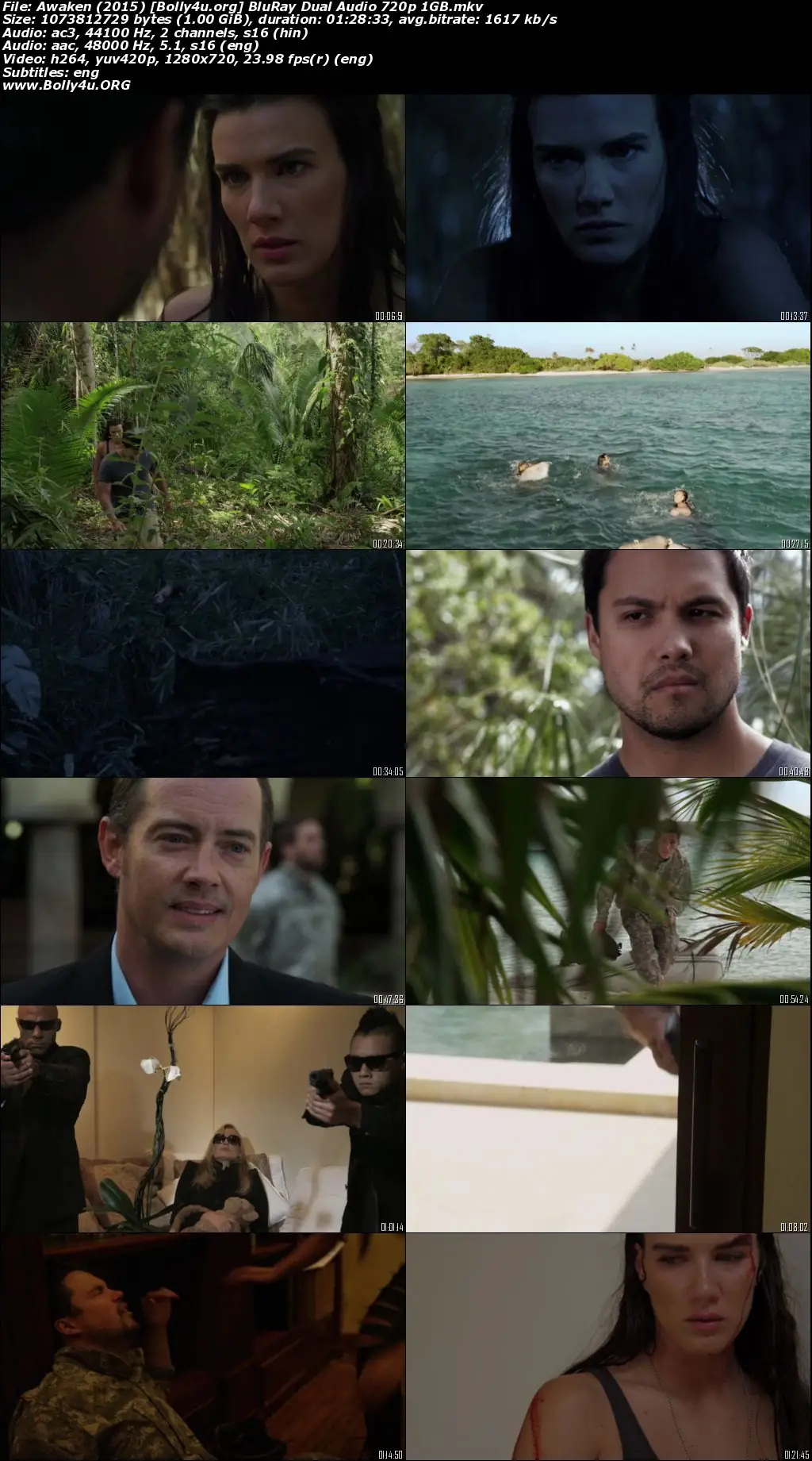 Awaken 2015 BluRay Hindi Dual Audio Full Movie Download 720p  480p