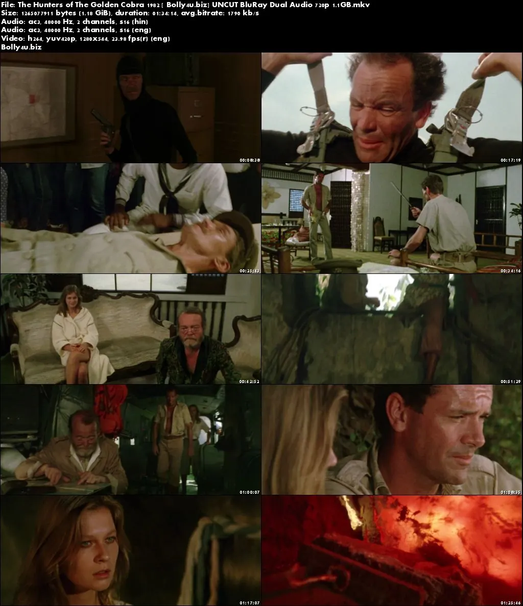 The Hunters of The Golden Cobra 1982 BluRay 300MB UNCUT Hindi Dual Audio 480p Download