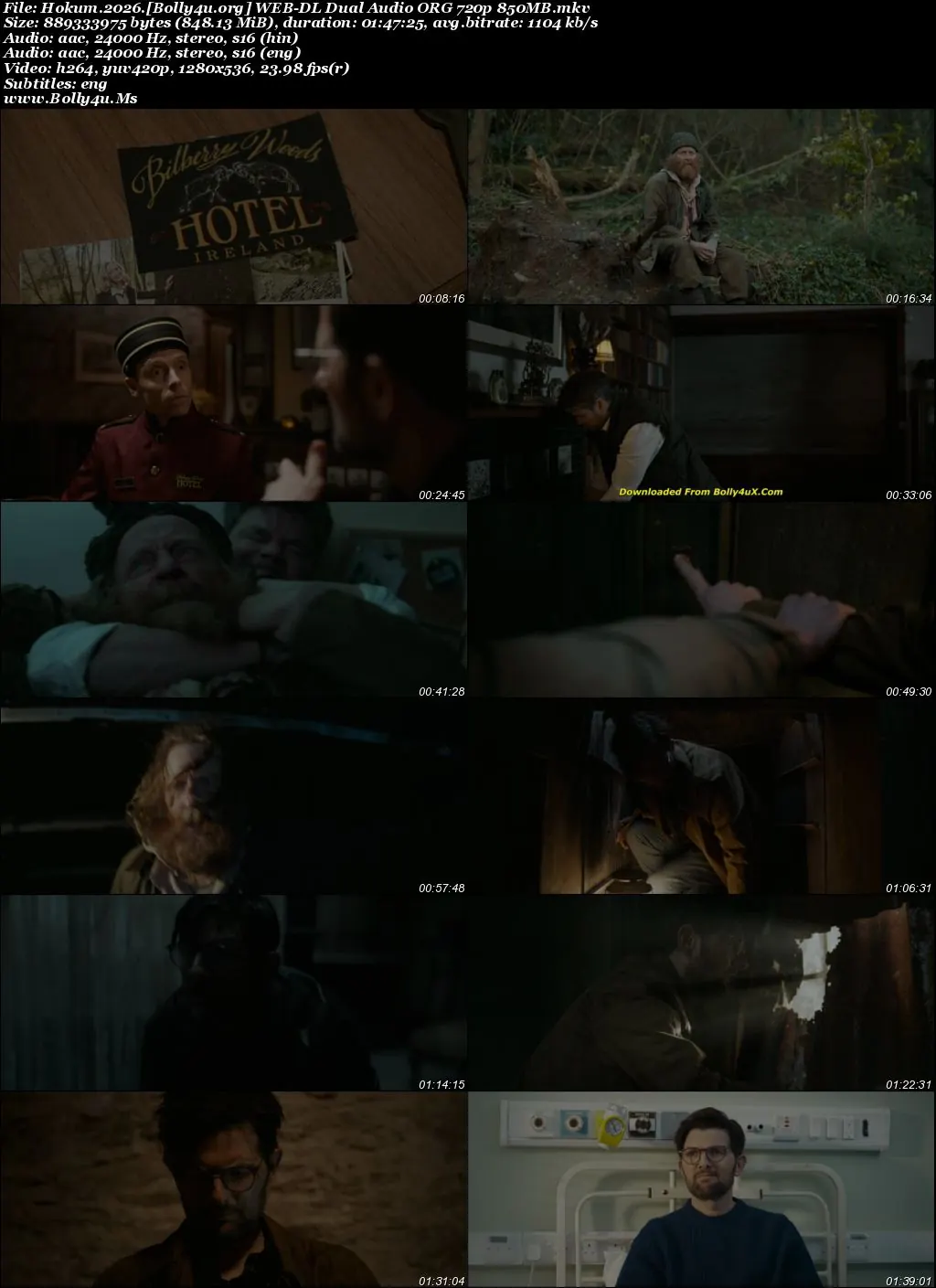 Hokum 2026 WEB-DL Hindi Dual Audio ORG Full Movie Download 1080p  720p  480p