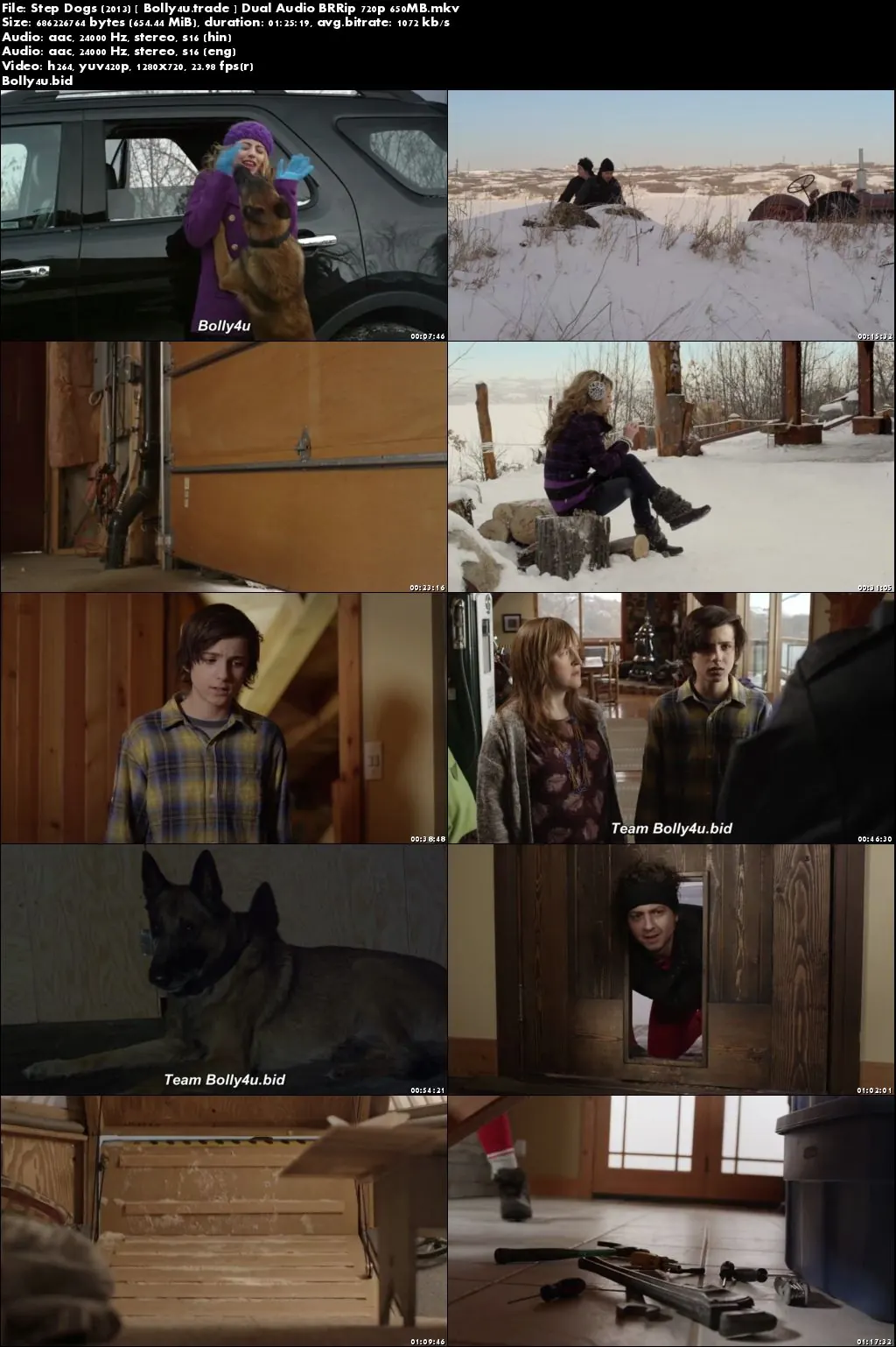 Step Dogs 2013 BRRip 650MB Hindi Dual Audio 720p Download