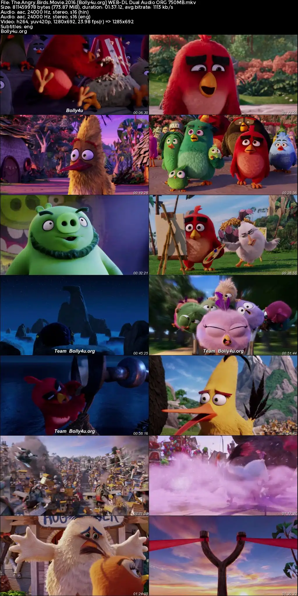 The Angry Birds Movie 2016 BluRay Hindi Dual Audio ORG Full Movie Download 1080p  720p  480p