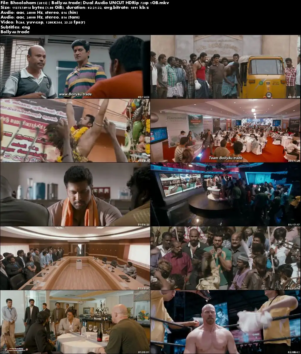 Bhooloham 2015 HDRip 450MB UNCUT Hindi Dual Audio 480p ESub Download