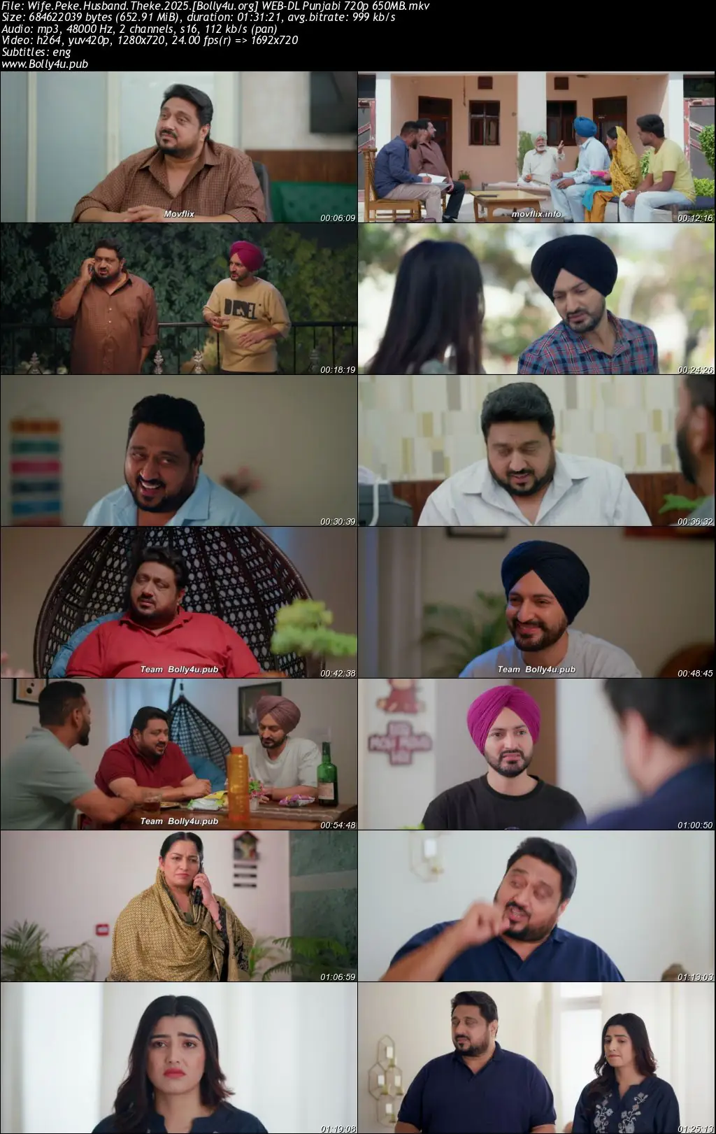 Wife Peke Husband Theke 2025 WEB-DL Punjabi Full Movie Download 1080p  720p  480p