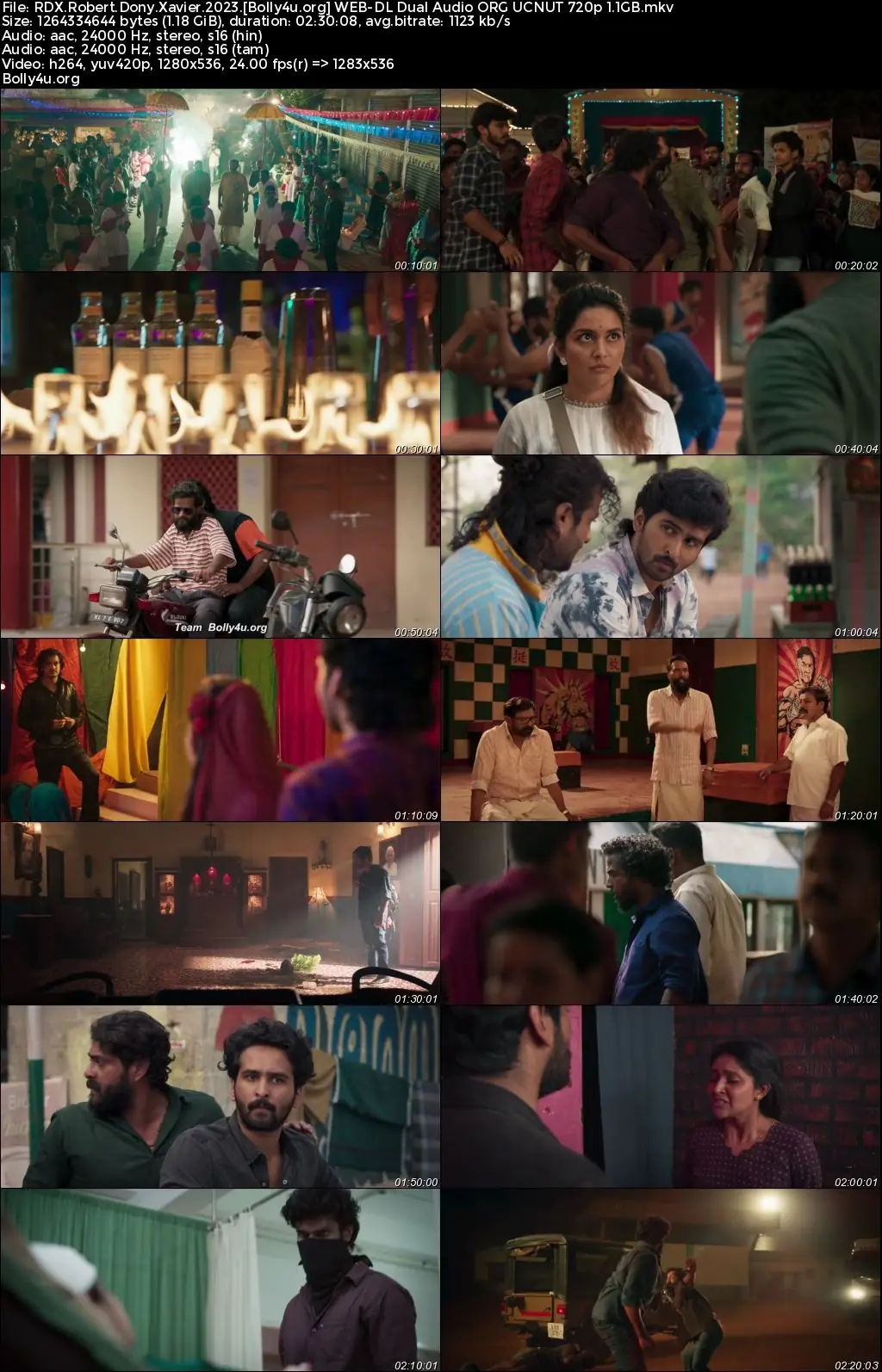 RDX Robert Dony Xavier 2023 WEB-DL UNCUT Hindi Dual Audio ORG Full Movie Download 1080p  720p  480p
