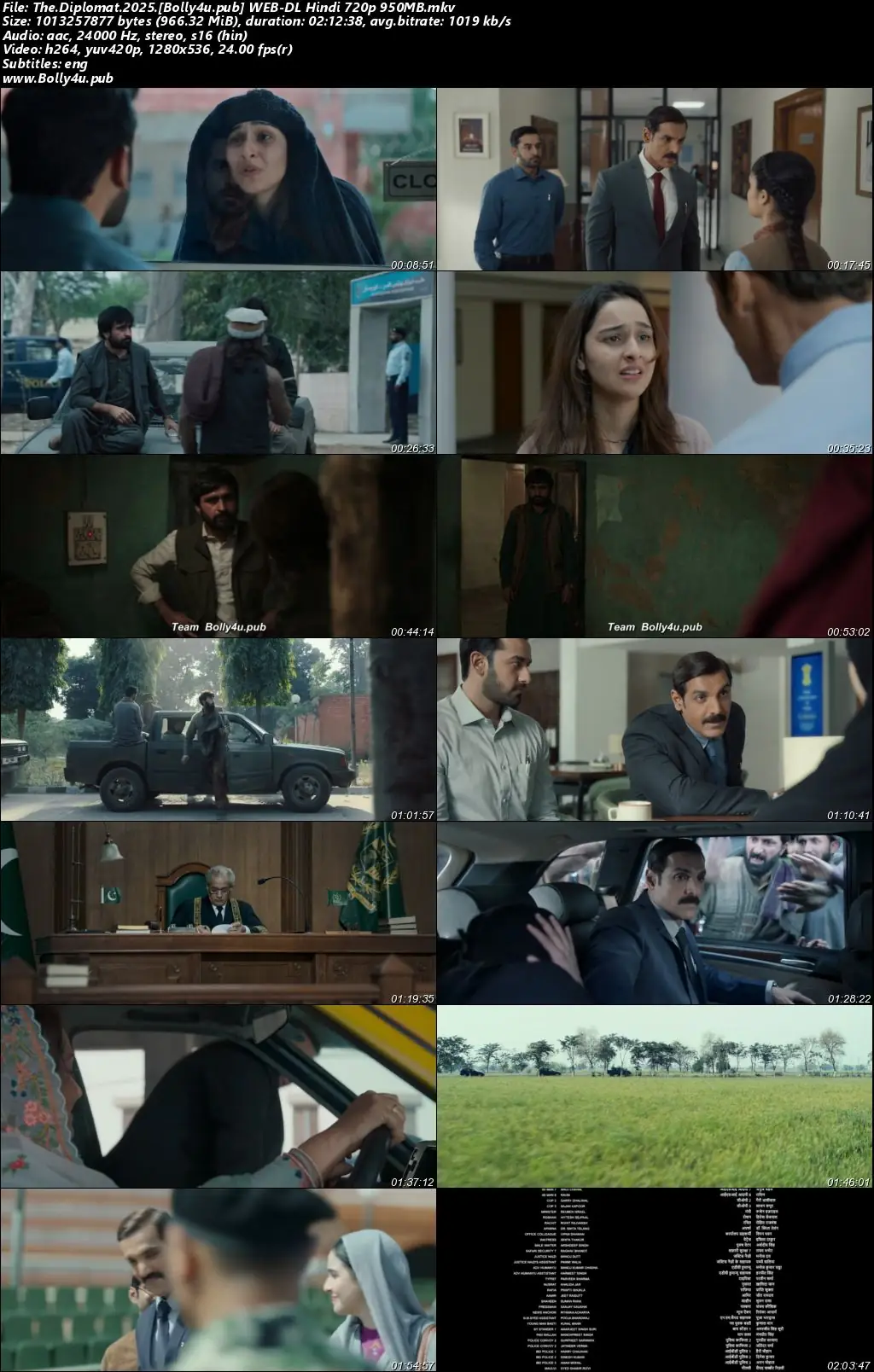 Diplomat 2025 WEB-DL Hindi Full Movie Download 1080p  720p  480p