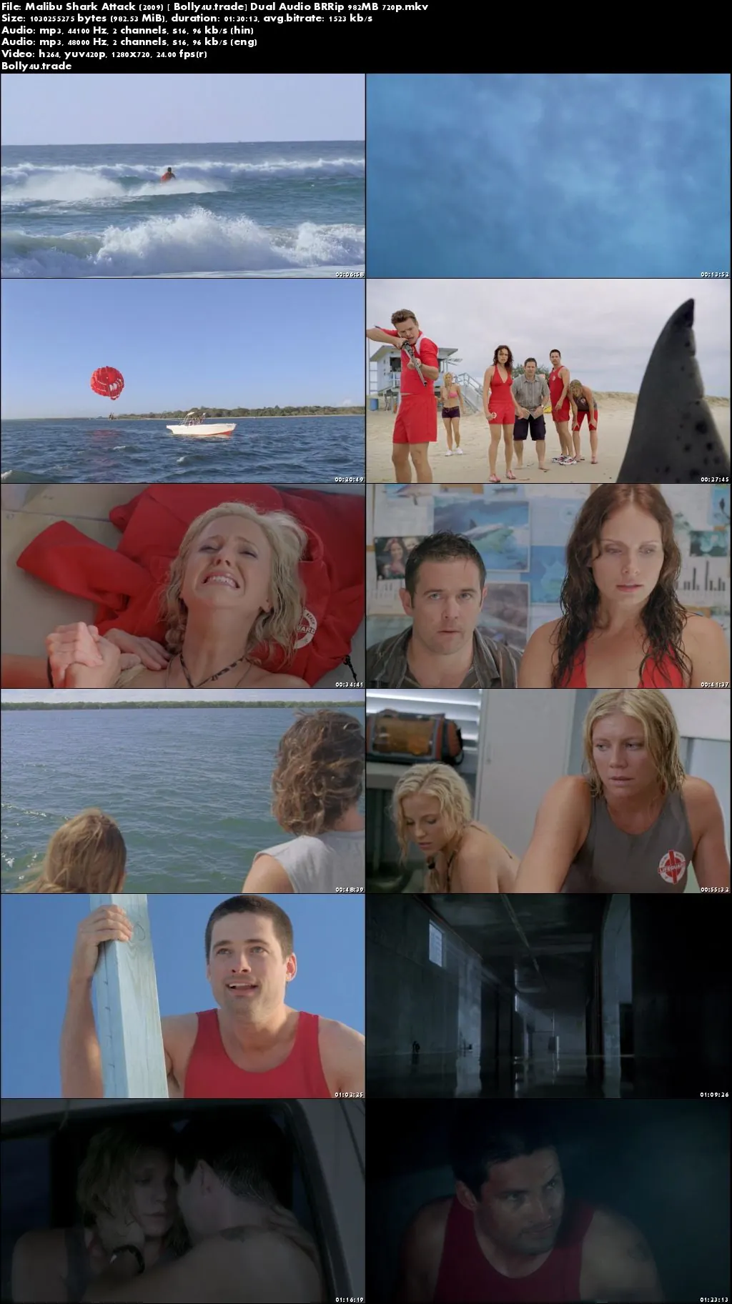 Malibu Shark Attack 2009 BRRip 950MB Hindi Dual Audio 720p Download