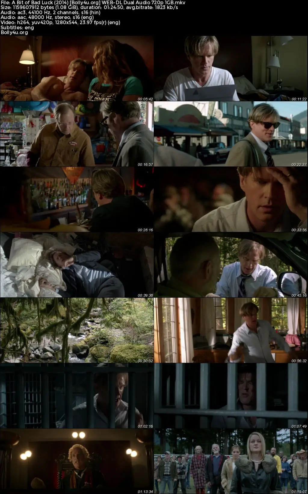 A Bit of Bad Luck 2014 WEB-DL Hindi Dual Audio Full Movie Download 720p  480p