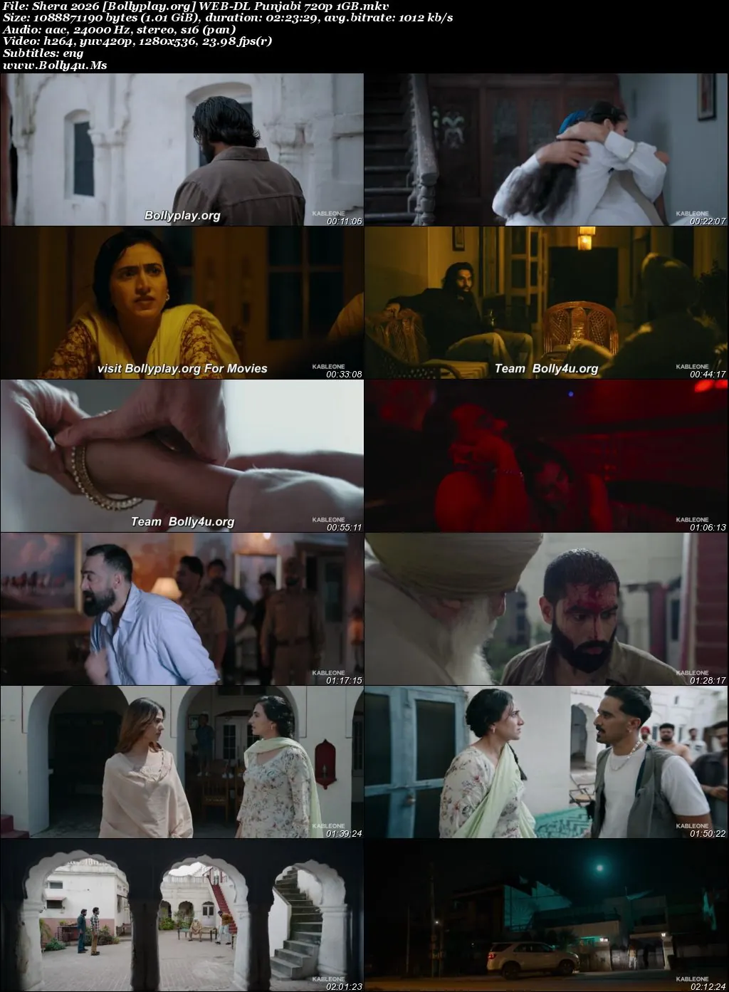 Shera 2026 WEB-DL Punjabi Full Movie Download 1080p  720p  480p