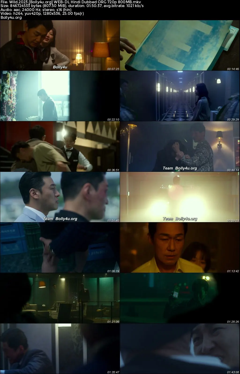 Wild 2023 WEB-DL Hindi Dubbed ORG Full Movie Download 1080p  720p  480p