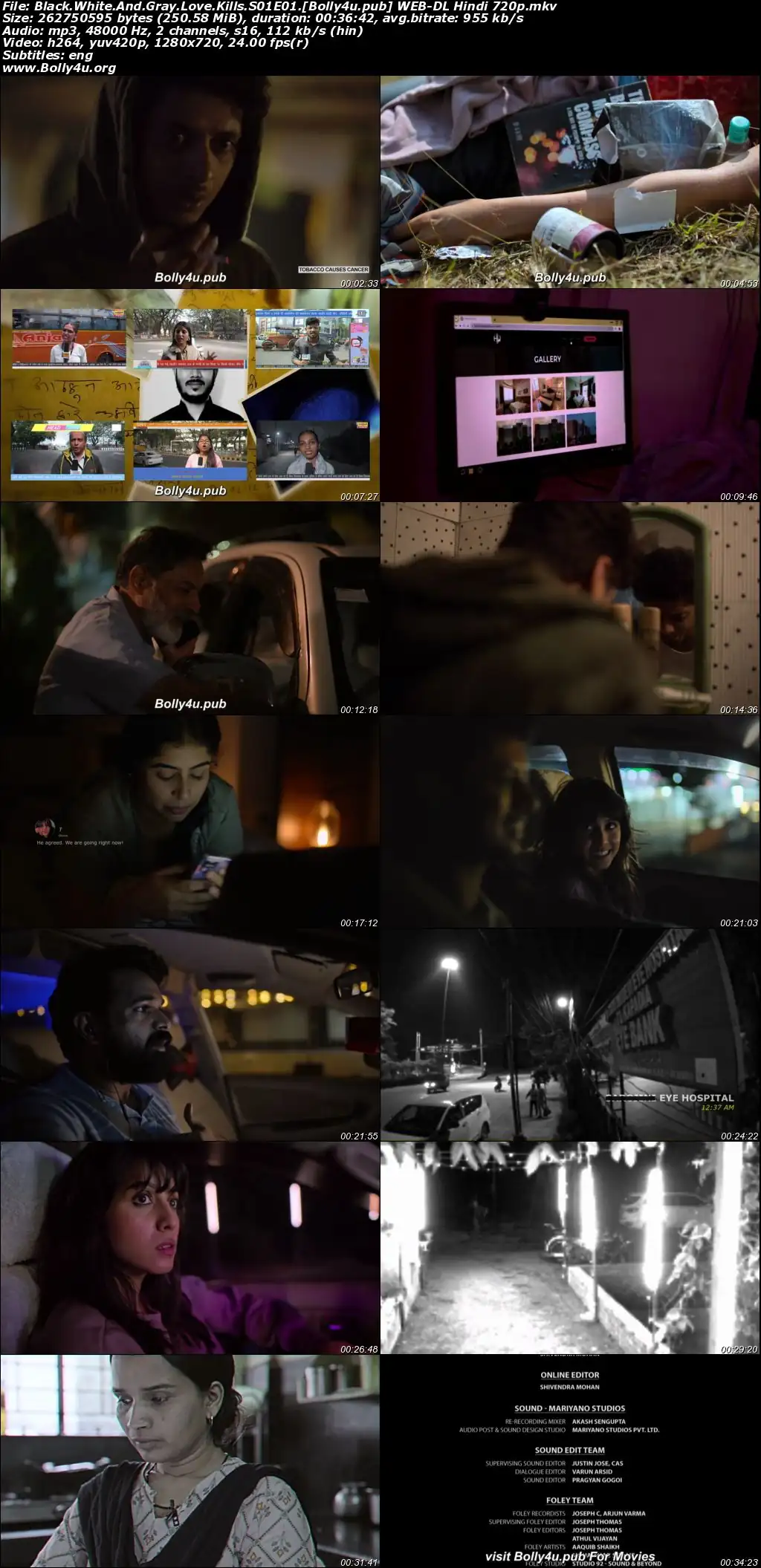 Black White And Gray Love Kills 2025 WEB-DL Hindi S01 Complete Download 720p  480p