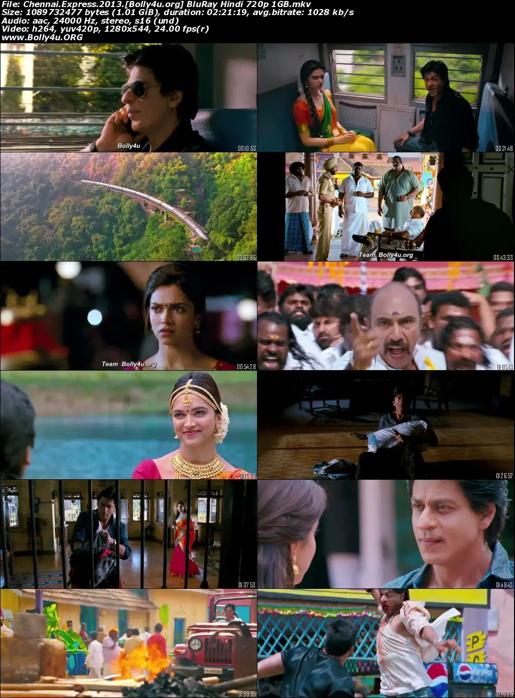 Chennai Express 2013 BRRip Hindi Full Movie Download 720p  480p
