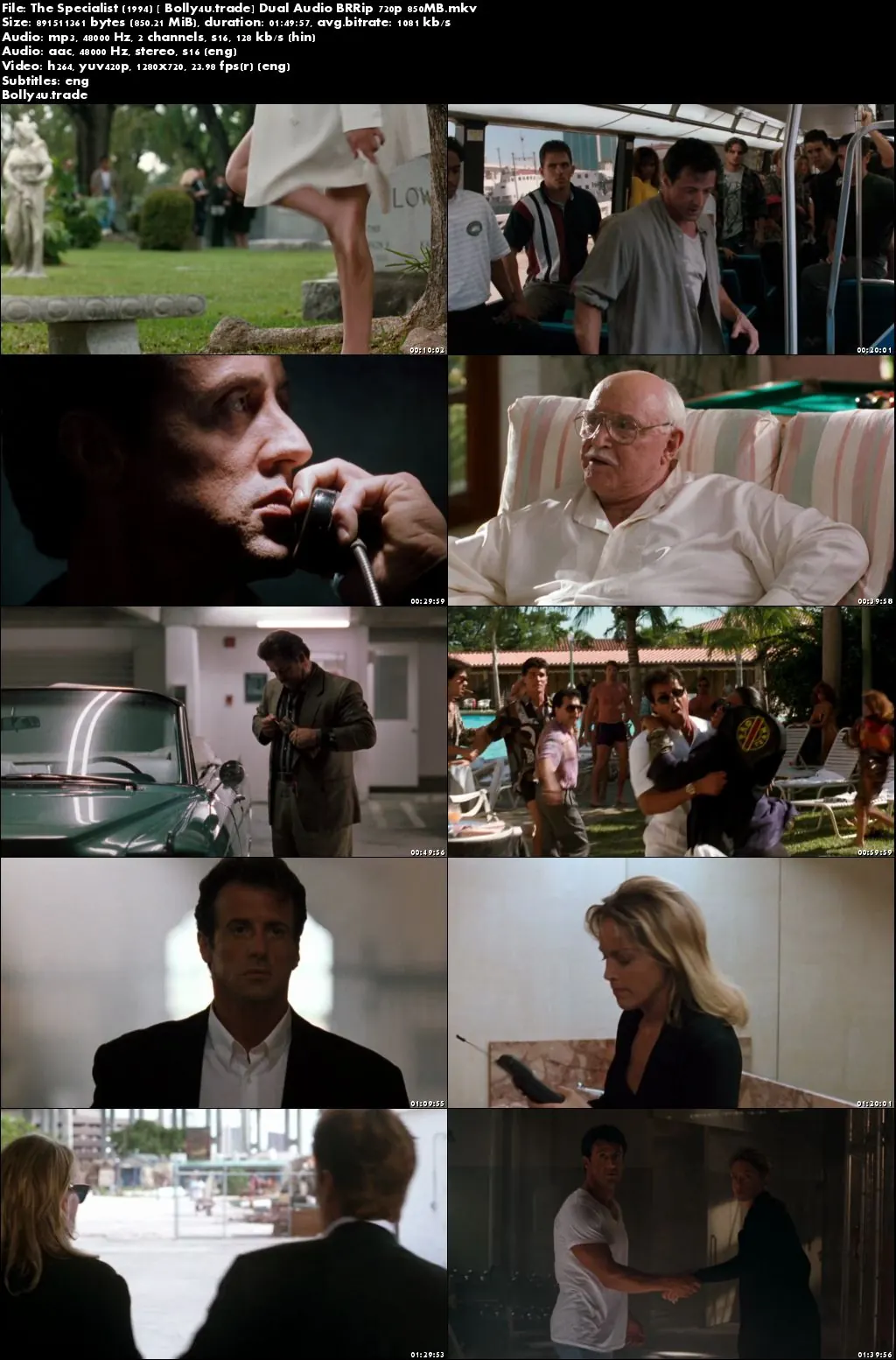 The Specialist 1994 BRRip 300MB Hindi Dual Audio 480p Download