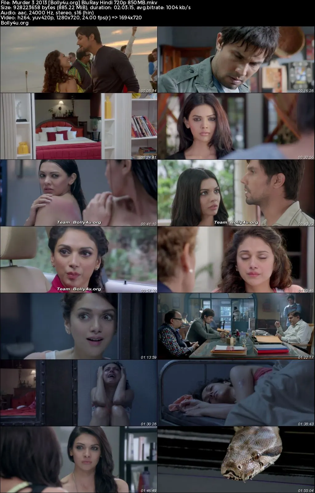 Murder 3 2013 BluRay Hindi Full Movie Download 1080p  720p  480p